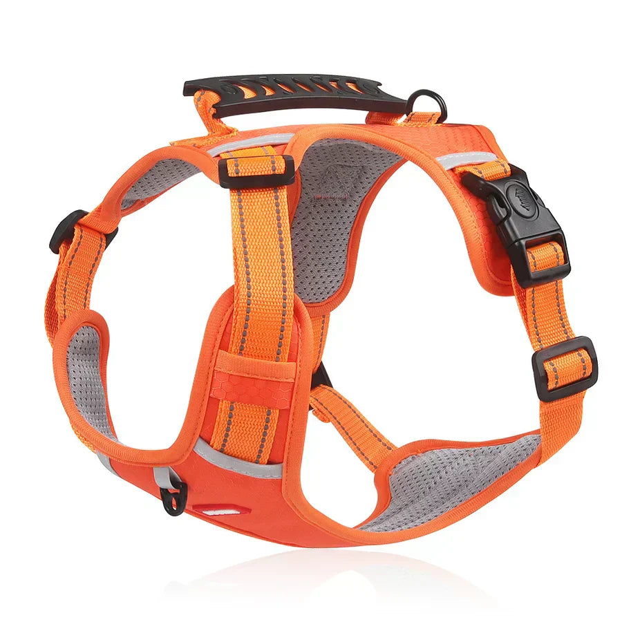 Robustes & Komfortables Hundegeschirr - Activepup™